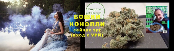 молекула духа Ростов