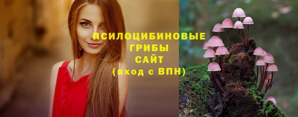 крисы Арсеньев