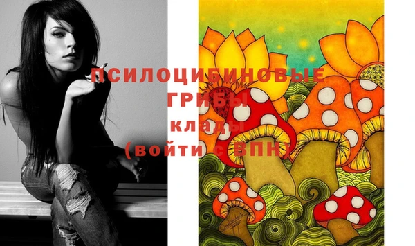 мет Аркадак