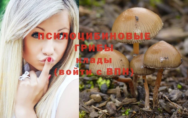 бошки Россошь