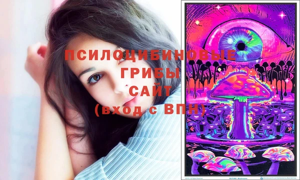 крисы Арсеньев