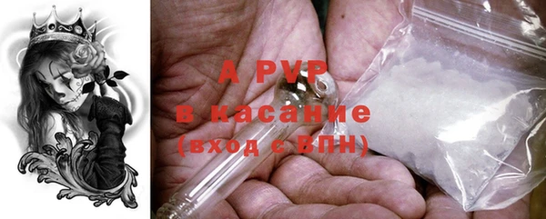 крисы Арсеньев