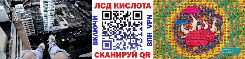 закладки  KRAKEN tor  Наркотические марки 1,5мг  Ясный 